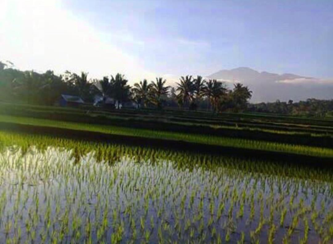 Sky Garden Lombok Daire Tetebatu Dış mekan fotoğraf