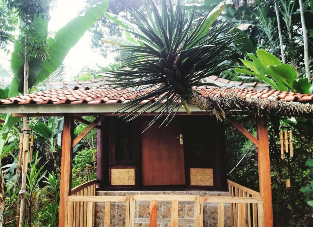 Sky Garden Lombok Daire Tetebatu Dış mekan fotoğraf