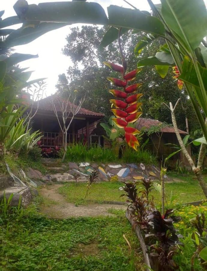 Sky Garden Lombok Daire Tetebatu Dış mekan fotoğraf