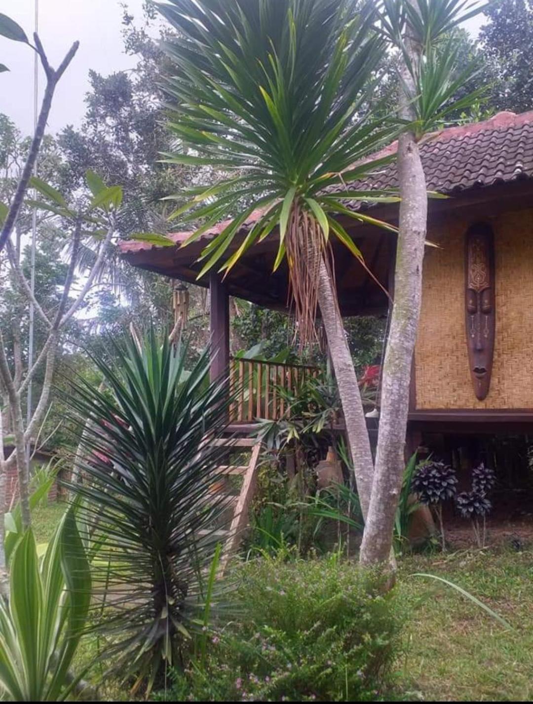 Sky Garden Lombok Daire Tetebatu Oda fotoğraf